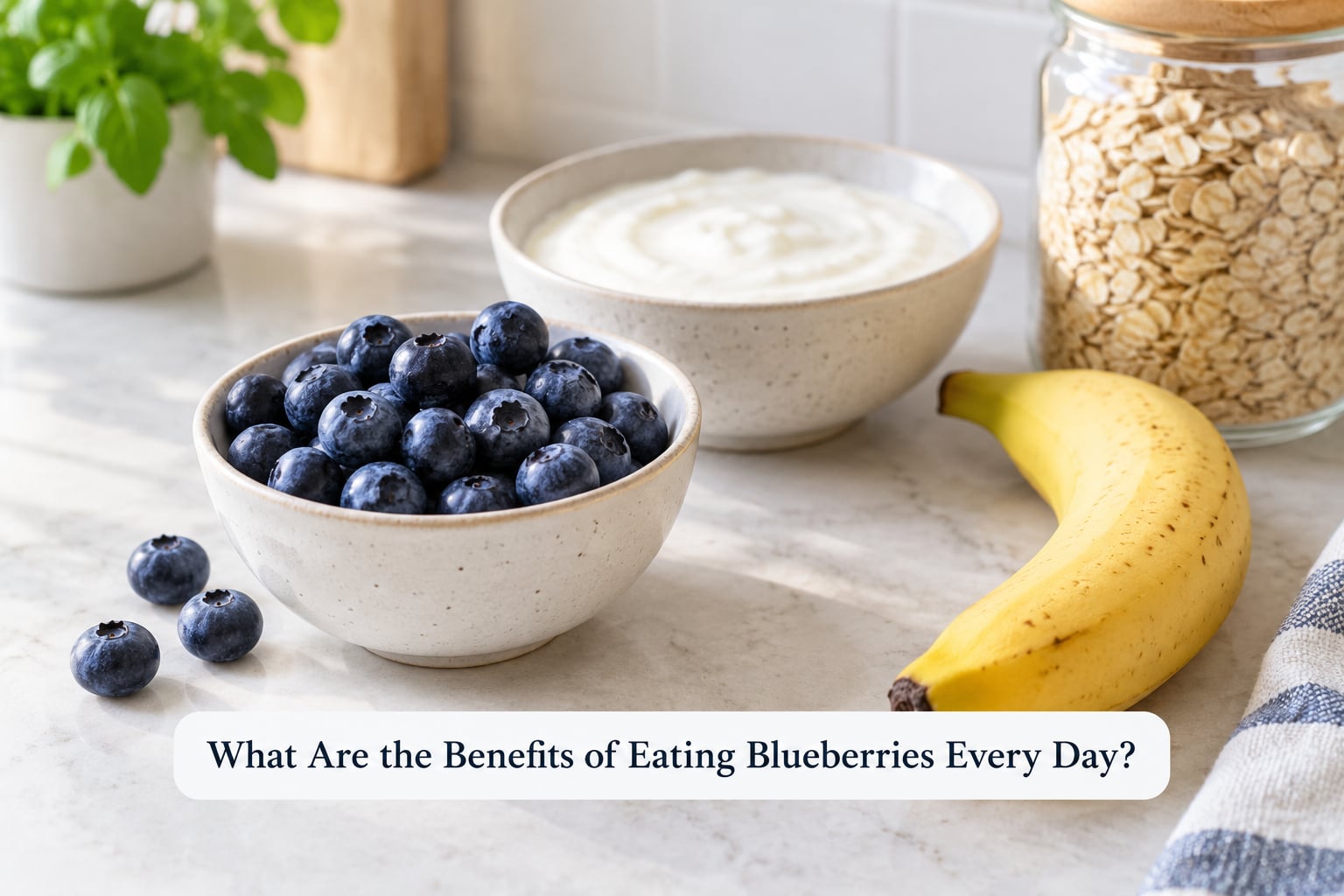 What Are the Benefits of Eating Blueberries Every Day?